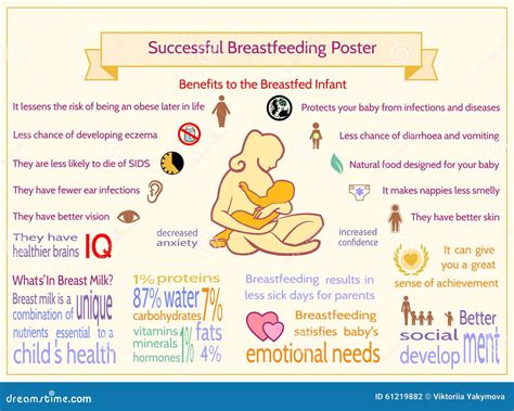 Successful Breastfeeding Poster Maternity Infographic Template