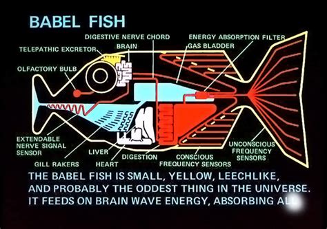 Babelfish For Real Damax