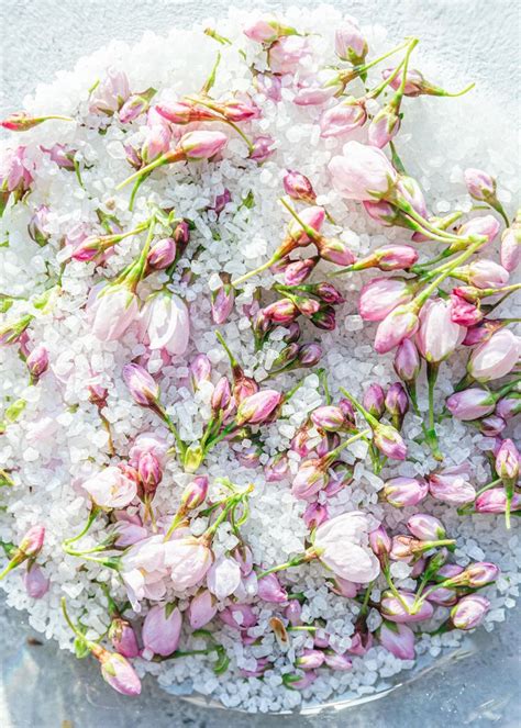 Salted Cherry Blossom Preserves — A Light Affair Preserving Apples Edible Flowers Cherry Blossom