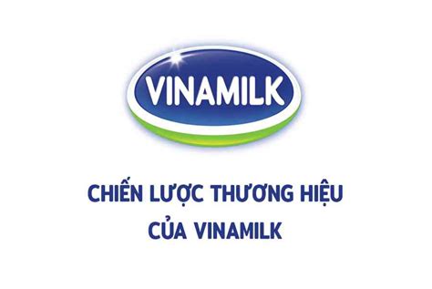 Top 20 Công Ty Sữa Vinamilk Thanh Hóa Tuyển Dụng Hay Nhất 2022 Thợ