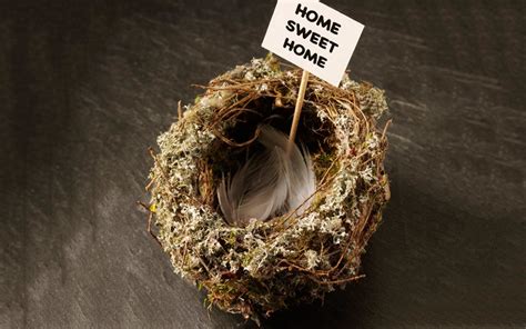 8 Funny And Inspiring Quotes About Empty Nest Syndrome Parade
