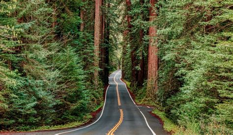 Crater Lake Redwoods To Golden Gate Bridge National Park Trip Itinerary