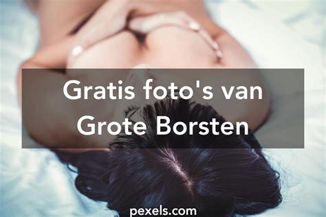 20 Fotos Van Grote Borsten · Pexels · Gratis Stockfotos