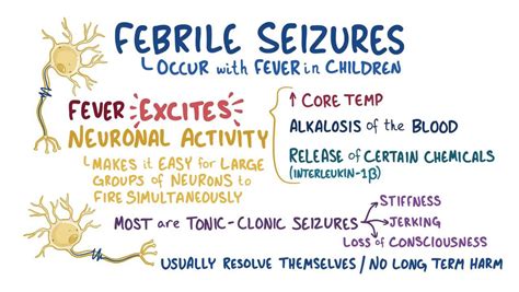 Febrile Seizure Video Anatomy Definition And Function Osmosis