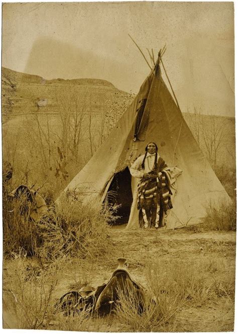 97 best images about nativeamer ute on pinterest indian tribes nancy dell olio and chief