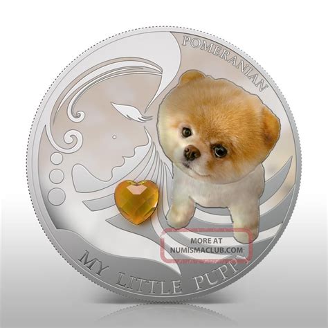 Silver nickel puppies works with trusted breeders to provide competitive pricing and beautiful healthy puppies for sale in bergen county, nj. Fiji 2013 My Little Puppy Ii Pomeranian Dogs & Cats Series 1oz Proof Silver Coin