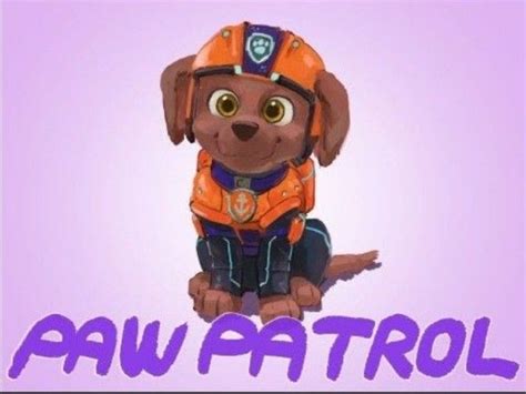 Zuma Paw Patrol The Movie Paw Patrol Cartoon Zuma Paw Patrol Paw Patrol