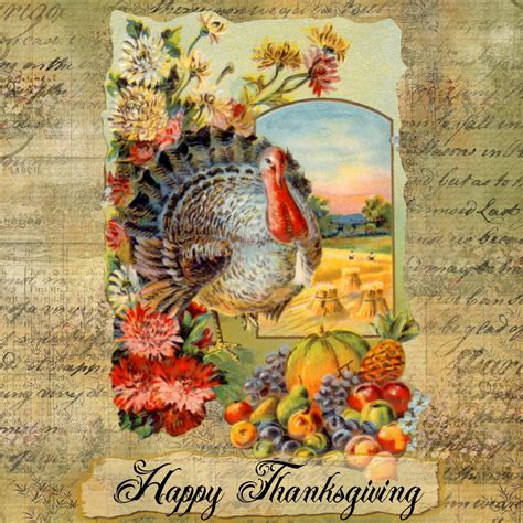 Vintage Thanksgiving Turkey Free Stock Photo Public Domain Pictures