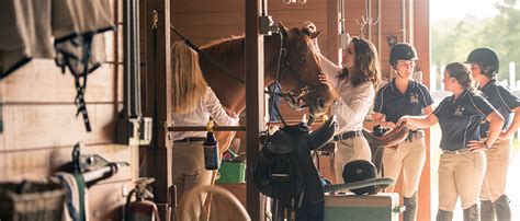 Equestrian Opportunities Contact The Ihsa Riding Team