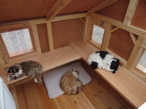 This wooden cat house comes insulated with the heat pads and impresses with its sweet bungalow style design. Heated Pet Houses Multiple Cats | Luxury Lounging Hideout ...