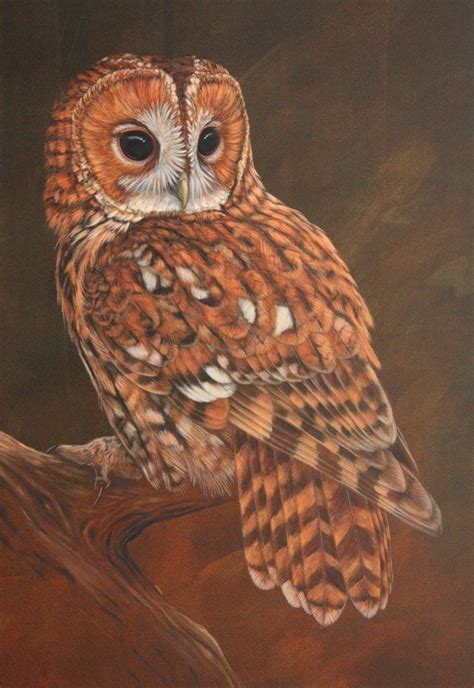 Wildlife Painting Of The Week Pick Of The Best Summer 2019