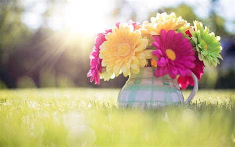 Beautiful Spring Desktop Wallpapers Top Free Beautiful Spring Desktop