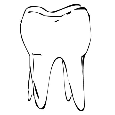 Molar Tooth Clipart