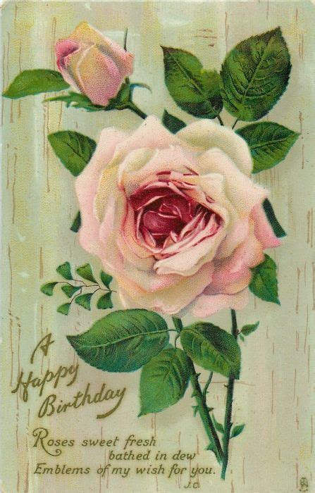 Lovely Pink Rose And Bud Featured On Birthday Postcard 1911 Vintage