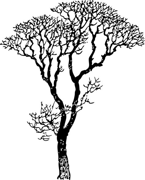 Tree Line Drawings Clipart Best