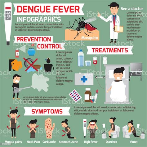 Dengue Fever Infographics Template Design Of Details Dengue Fever And