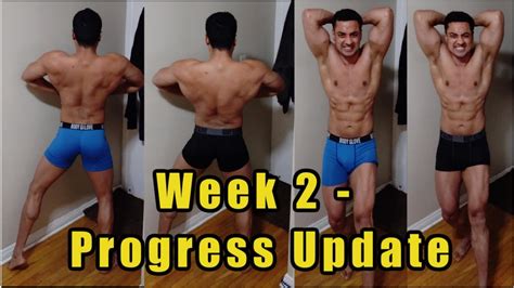 2 Week Cycle Update Testosterone Equipoise Anavar Cycle Progress