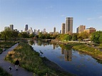 Lincoln Park, Chicago: The Neighborhood Guide | Common
