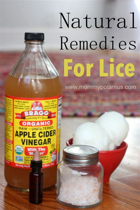 How To Get Rid Of Lice Naturally Lice Remedies Natural Healing
