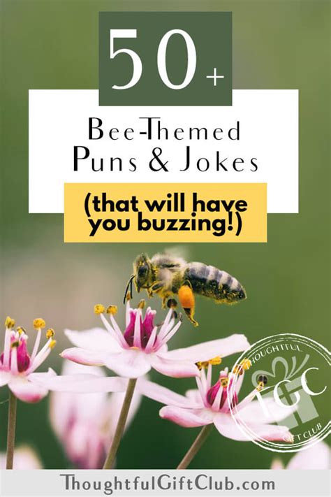 50 Bee Puns And Jokes For Instagram Captions That Will Having You Buzzing