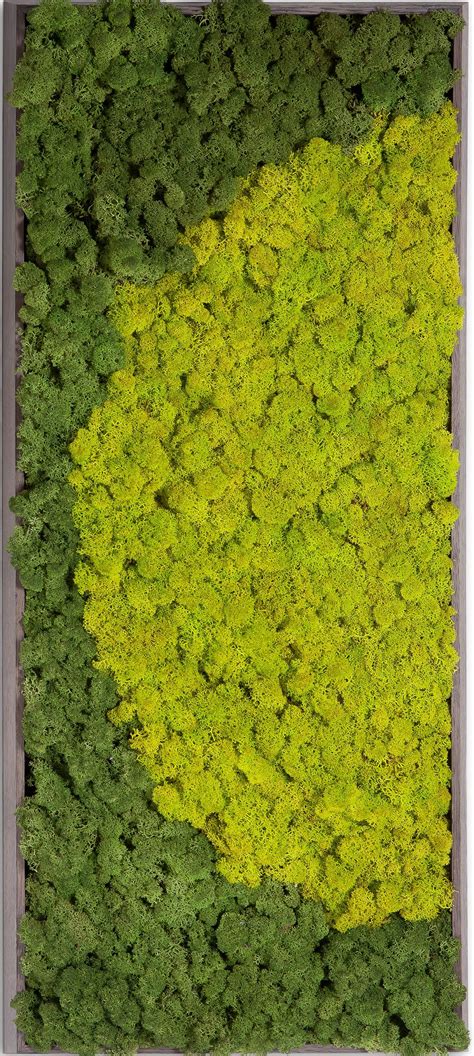 Verde Profilo Product Moss Paintingr Image 2 Moss