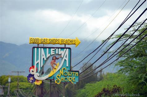 Surfers And Turtles Visiting North Shore Oahu The World Is A Book