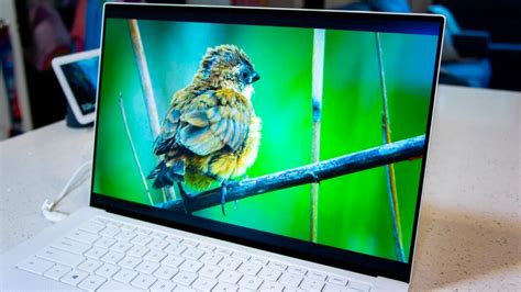 New Dell Xps 15 Laptop Review