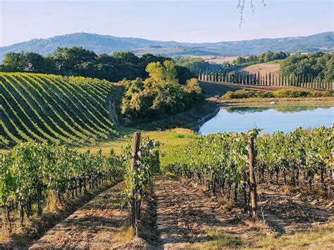 The Definitive Guide To Wine And Wine Tours In Tuscany — Go Ask A Local