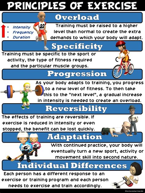 PE Poster: Principles of Exercise Elementary Physical Education