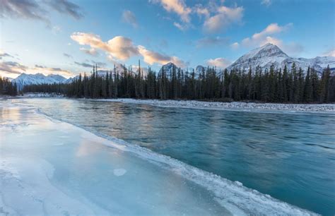 Athabasca River In Winter Jasper National Park Alberta Canada