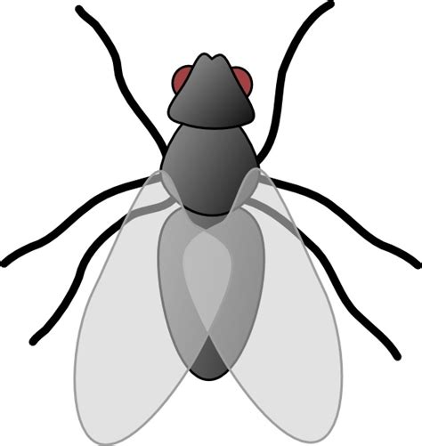 Fly Bug Insect Clip Art Free Vector In Open Office Drawing