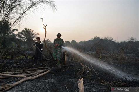 Memenjarakan Pembakar Hutan Dan Lahan Koran Jakarta Com