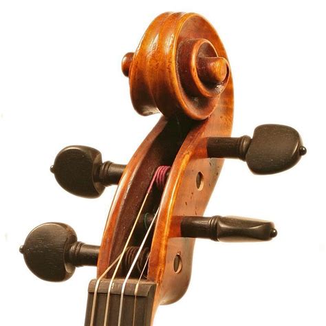 Strad Professional 2 Paganini Cannon Violin