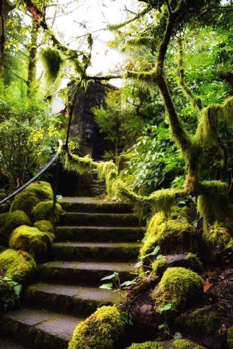 At home stores & openning hours in oregon city. Leach Botanical Garden - 119 Photos & 33 Reviews ...