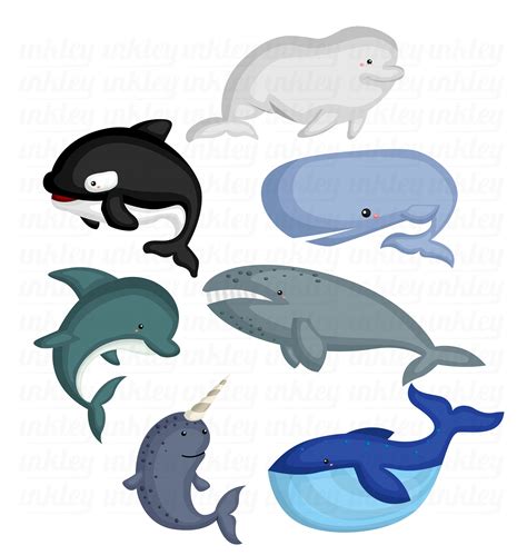 Whale Breeds Clipart Cute Whale Clip Art Fish And Sea Creatures