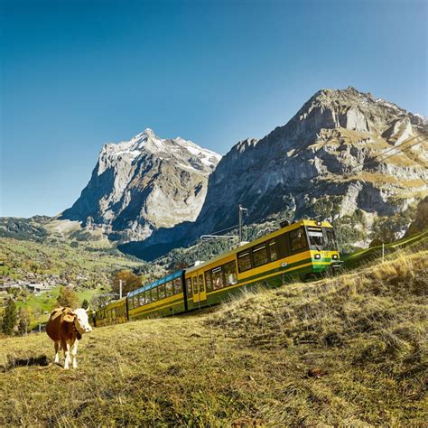 Train Entre Lauterbrunnen Jungfraujoch Aller Retour