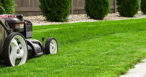 This lawn mowing service estimator will provide you with up to date pricing for your area. Turf Prices 2020: How Much to Turf a Lawn?