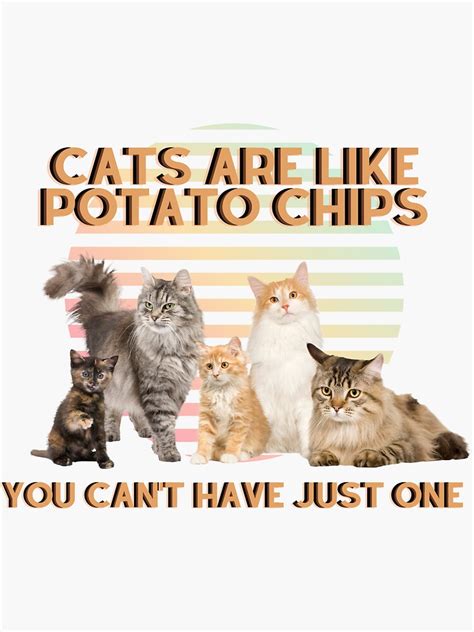 Cats Are Like Potato Chips Sticker For Sale By Aibling16 Redbubble