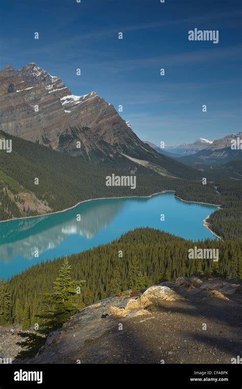 Glacier Fed Peyto Lake Banff National Park Alberta Canada Stock