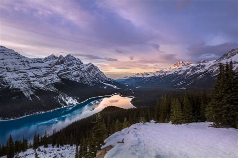 Nature Peyto Lake Hd Wallpaper