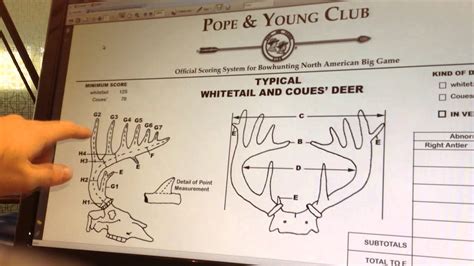 How To Score A Whitetail Deer Youtube
