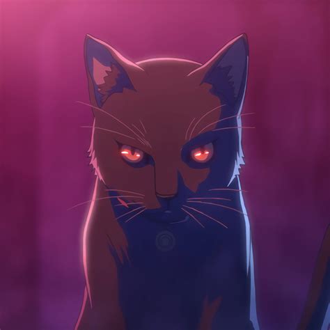 Download Anime Ipad Black Cat Akudama Drive Wallpaper
