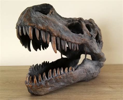 A Large T Rex Skull Wall Mounted Dinosaur Head Etsy