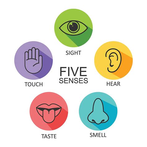 5 Senses Mindfulness Tool