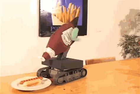 these funny robot fails prove why robots are not ready yet t