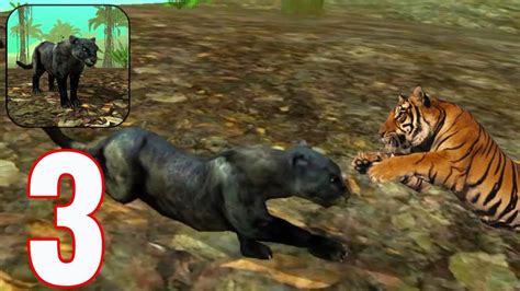 Wild Panther Sim 3d Gameplay Walkthrough Part 3 Hunting Tigers Ios