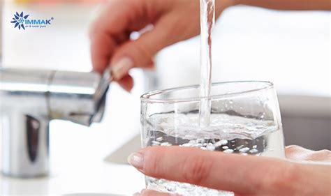 Nemini teneri è la prima residenza in sicilia interamente rivestita con pannelli di sughero, un lago artificiale che fornisce acqua depurata e una piscina naturale, immersa nella campagna siciliana tra carrubi e alberi di ulivo. Acqua depurata direttamente dal tuo impianto di casa - IMMAK®