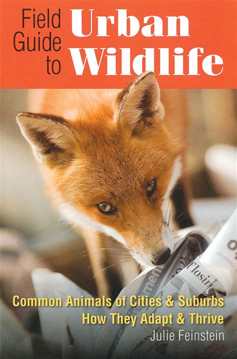 Field Guide To Urban Wildlife