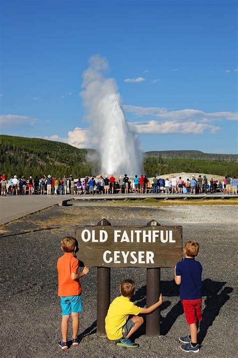 How To Visit Old Faithful Geyser In Yellowstone Info Tips And Fun Facts