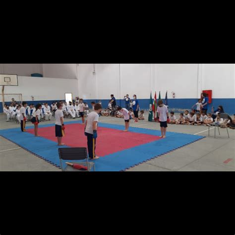 Festival De Karatê Marca Inauguração De Novo Espaço Na Escola Faustina Da Luz Patrício